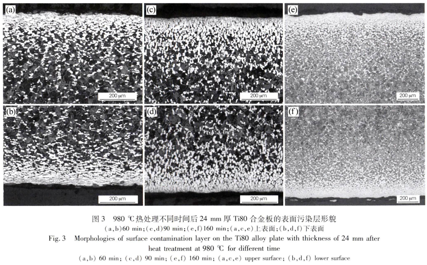 截圖20250718214354.png